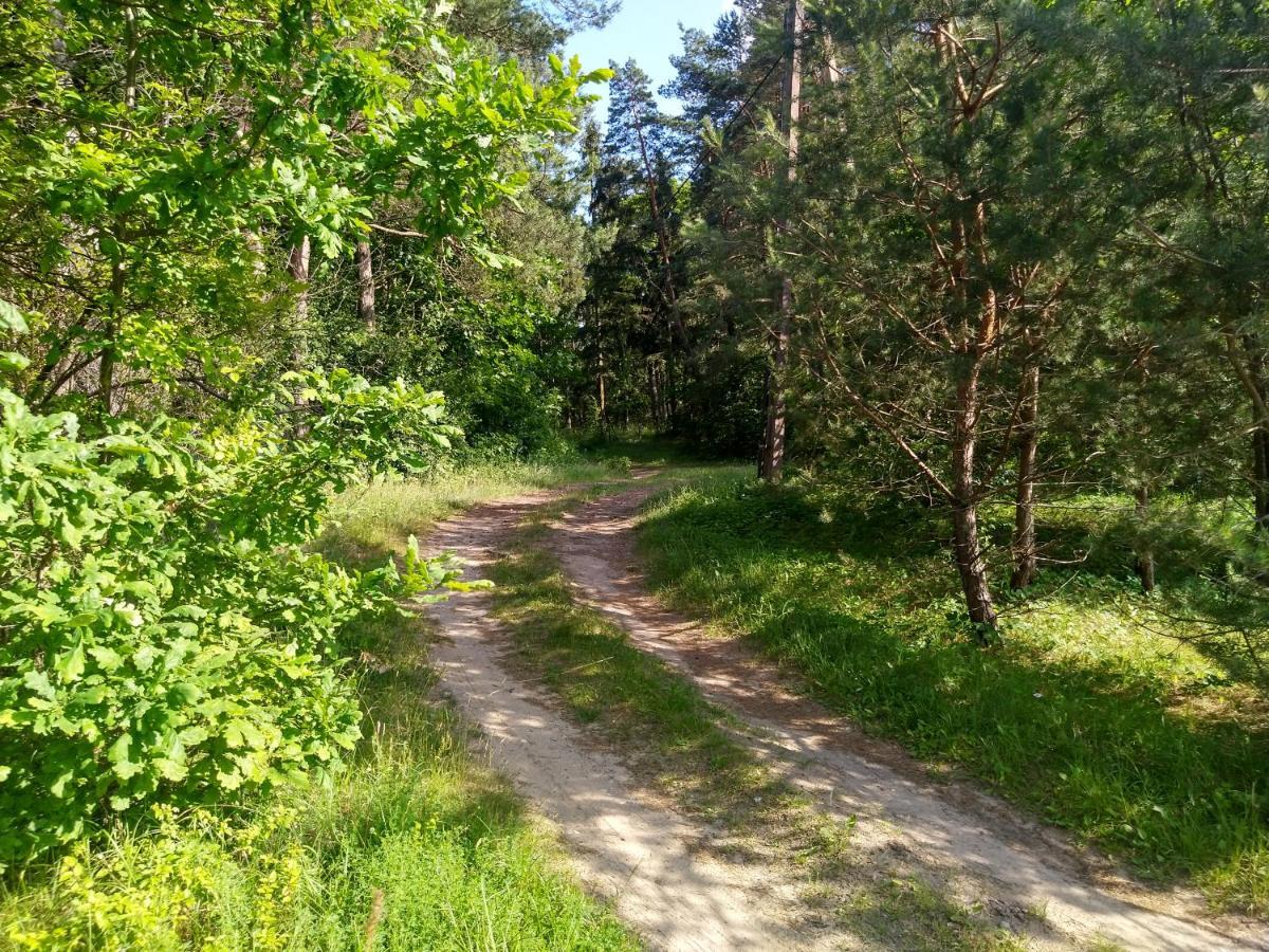 Letniskowe Szczycionek