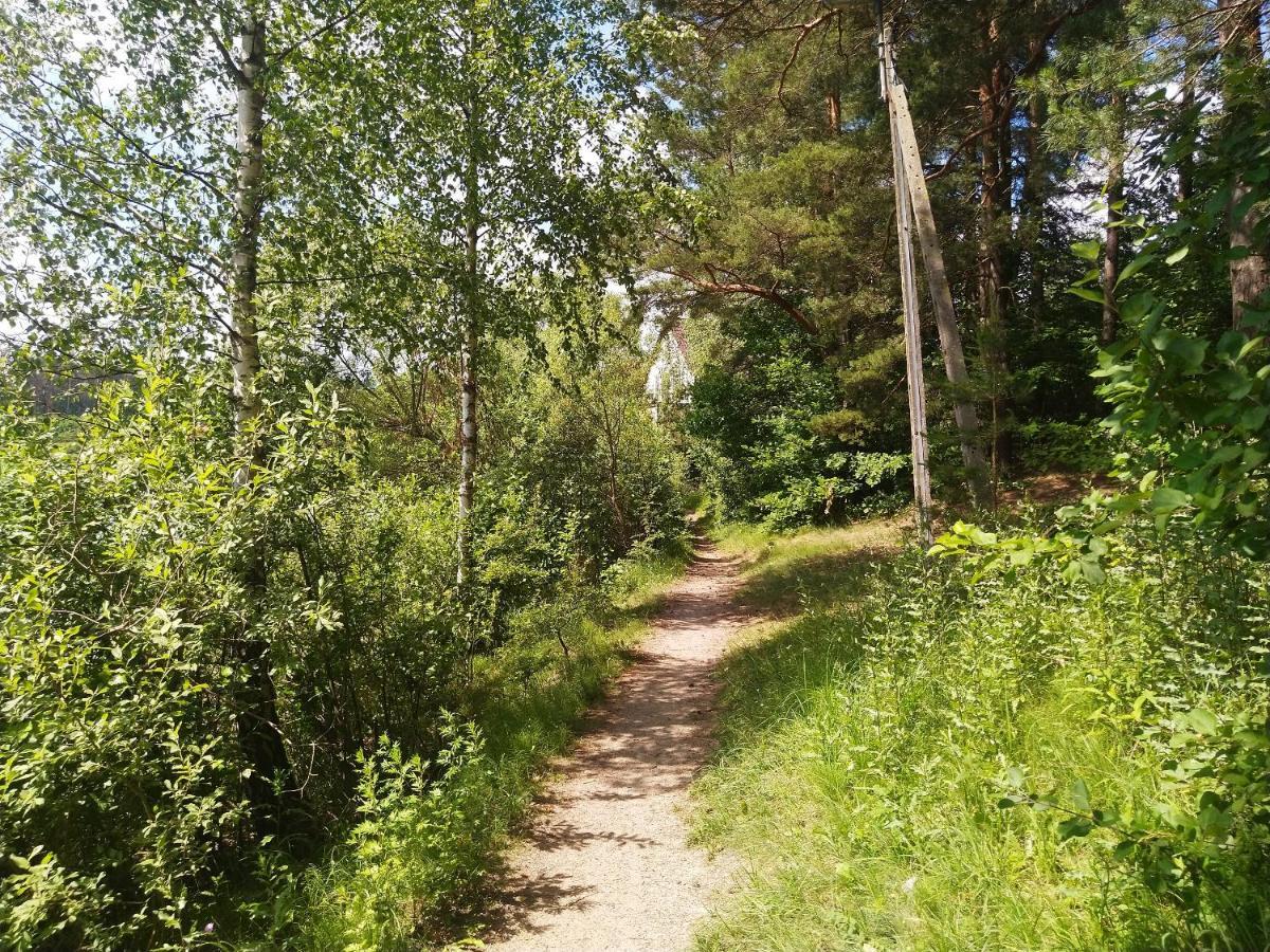 Letniskowe Szczycionek * Szczytno (Warmian-Masurian)